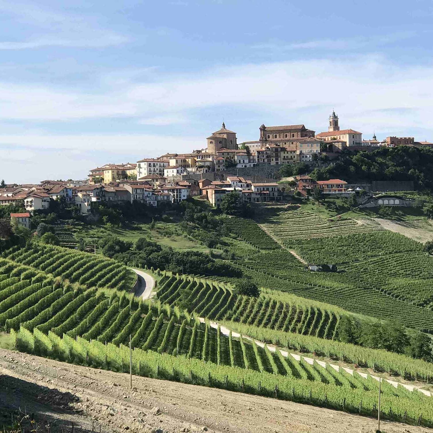 Vignoble de Barolo et le village La Morra dans le Piémont italien