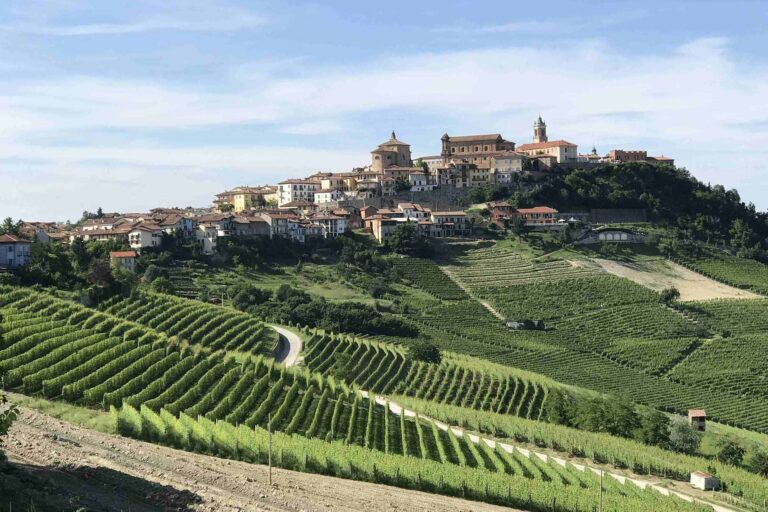 Vignoble de Barolo et le village La Morra dans le Piémont italien