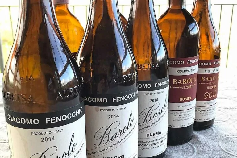 Bouteilles de Barolo Giacomo Fenocchio dégustées par Patrick Moulène en Italie