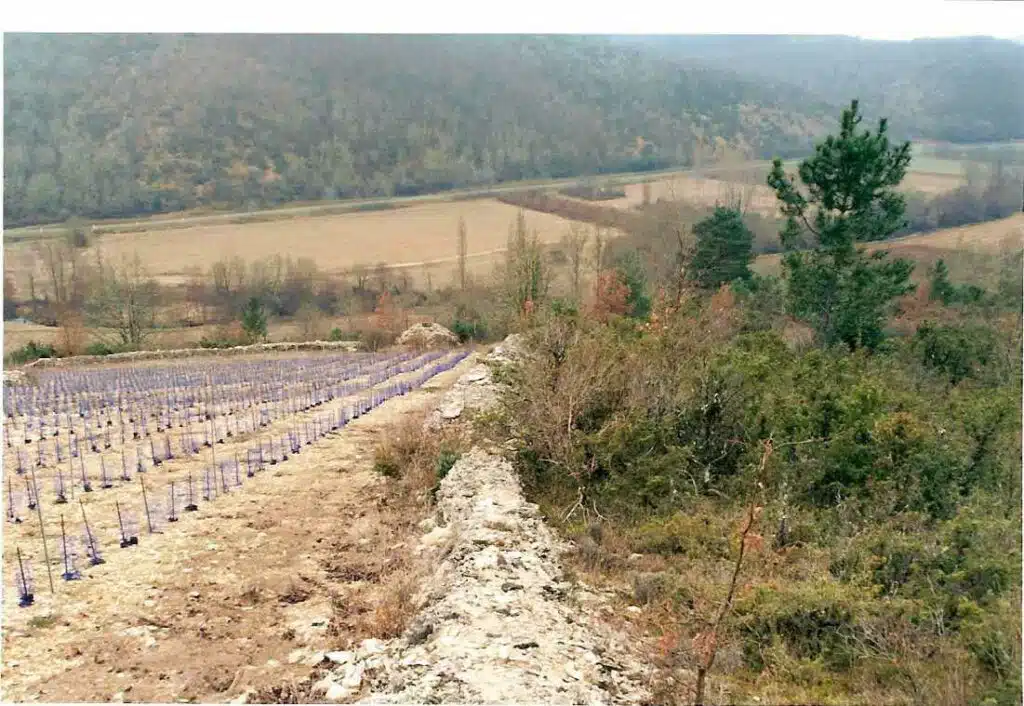 cahors clos st jean vin du sud ouest