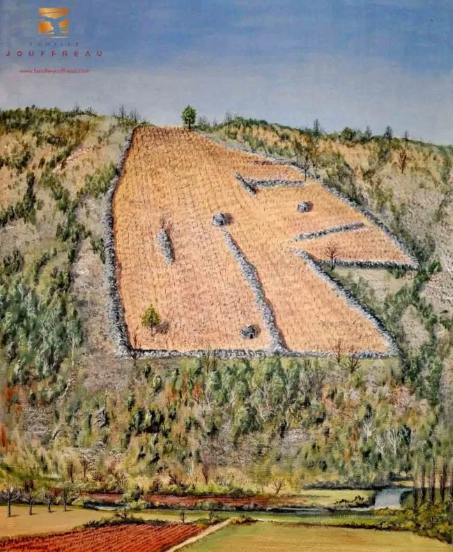 Vigne du Clos St-Jean, vin de Cahors sur les hauteurs calcaires de Castelfranc