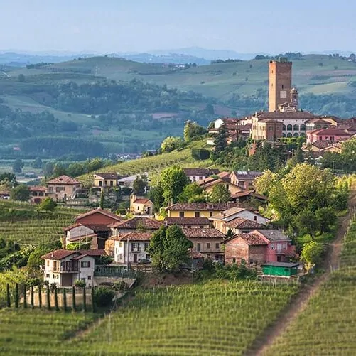 Village de Barbaresco entouré de vignes de nebbiolo dans le Piémont italien