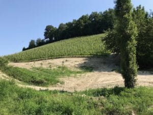 Vignoble Boscareto de Ferdinando Principiano à Barolo Piémont italien