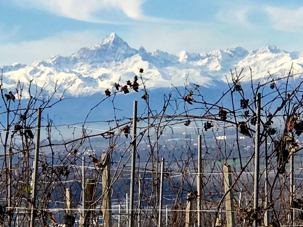 vin du piémont ialien