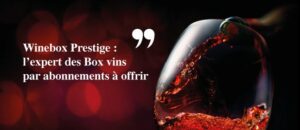 box vin haut de gamme winebox prestige