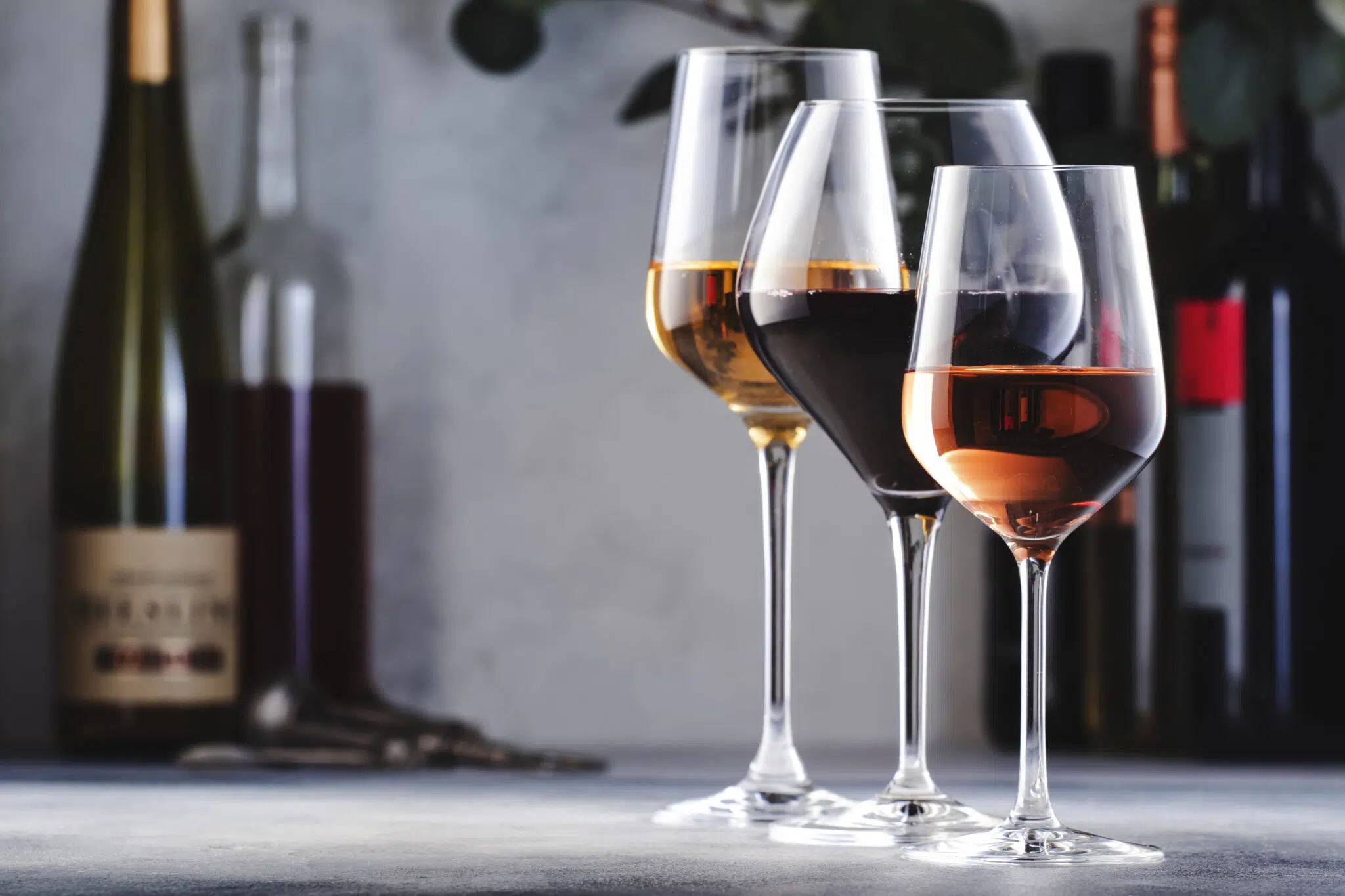 Guide des verres à vin : Choisir un verre adapté en fonction du vin