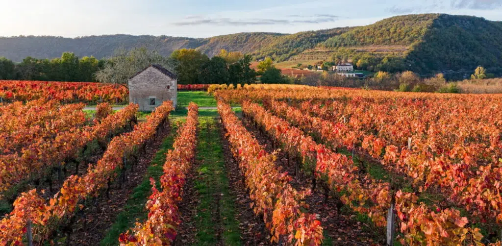 vin de cahors