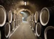 Top 10 des meilleurs vins rouges français à moins de 20 € selon Patrick Moulène