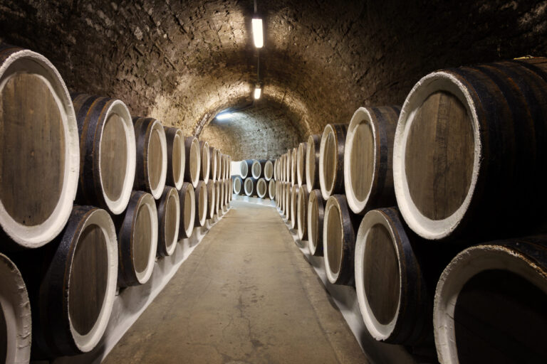 Top 10 des meilleurs vins rouges français à moins de 20 € selon Patrick Moulène