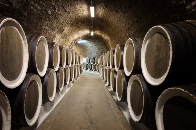 Top 10 des meilleurs vins rouges français à moins de 20 € selon Patrick Moulène