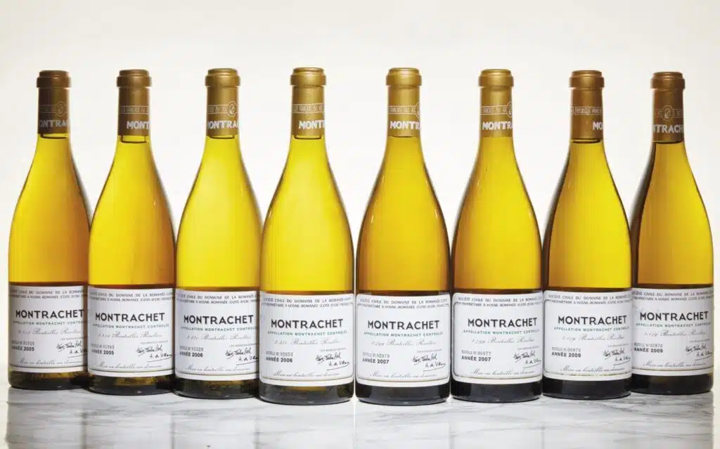 Analyse experte des tendances du vin en 2026 par un champion de France