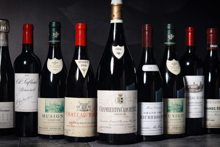 Top 5 règles d’or pour investir dans le vin conseils de Patrick Moulène expert dégustation