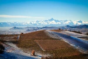 Barolo vs Barbaresco : deux grands terroirs du Piémont