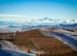 Vignes enneigées à Barolo avec les Alpes en arrière-plan illustrant le Top 5 des meilleurs millésimes à déguster