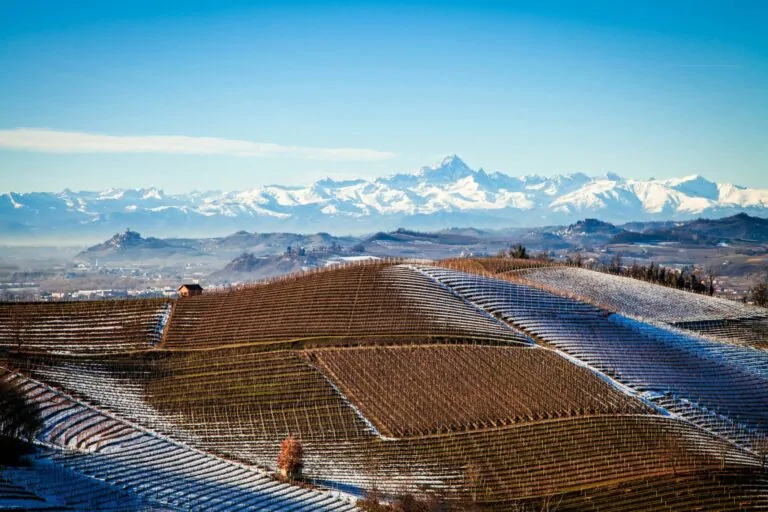 Vignes enneigées à Barolo avec les Alpes en arrière-plan illustrant le Top 5 des meilleurs millésimes à déguster