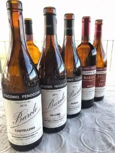 Top 10 des meilleurs vins italiens : quels sont les meilleurs millésimes de Barolo ?