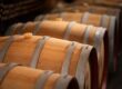 Barrique de vin en chêne foudre et fût utilisés pour le vieillissement et l’élevage du vin en cave