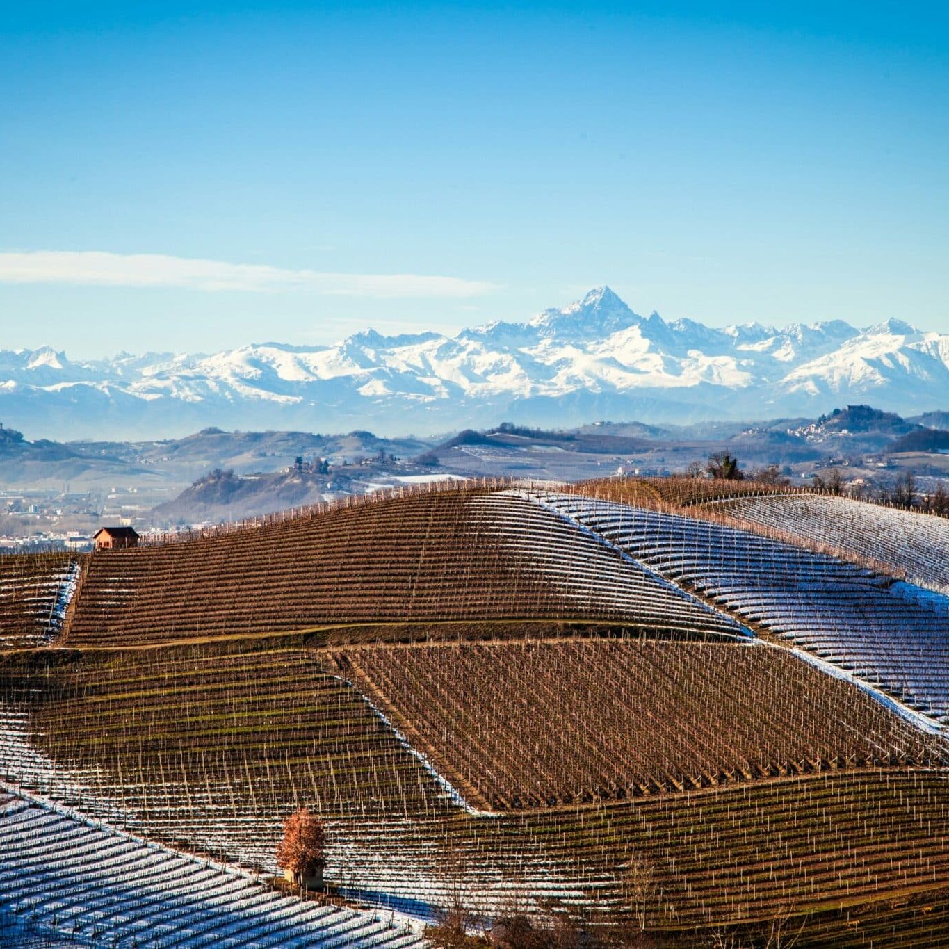 Guide officiel Barolo 2026 par Patrick Moulène expert en vins italiens haut de gamme