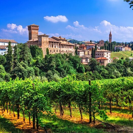 Guide officiel Barolo 2026 par Patrick Moulène expert en vins italiens haut de gamme
