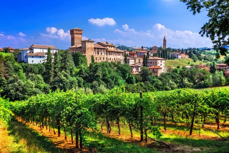 Guide officiel Barolo 2026 par Patrick Moulène expert en vins italiens haut de gamme