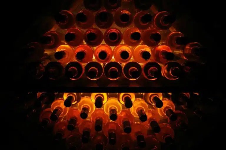 Tendances du vin 2026 selon Patrick Moulène double champion de France de dégustation