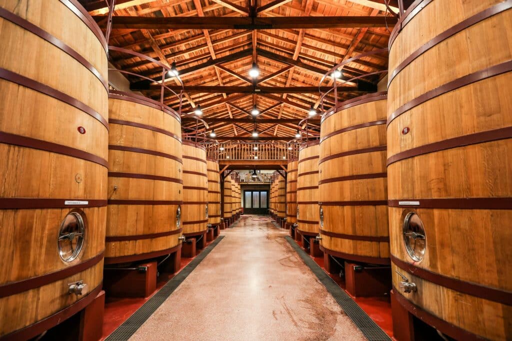Vin argentin en fermentation dans un chai traditionnel