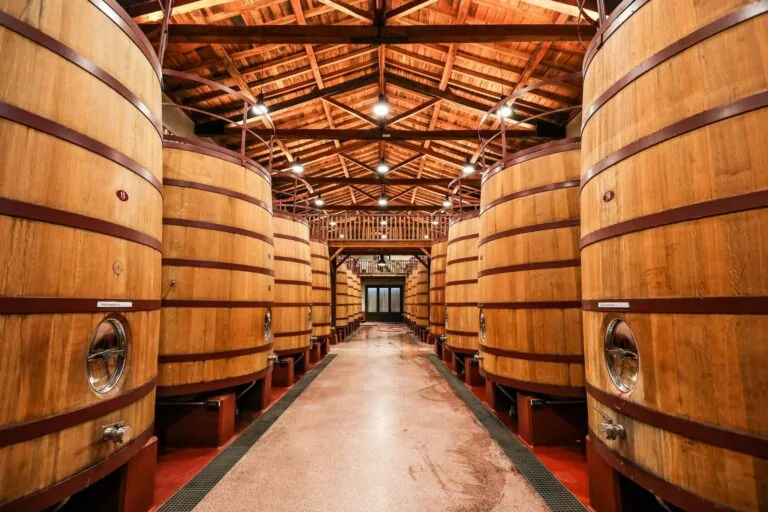 Fermentation du vin en chai et vinification en barriques en bois