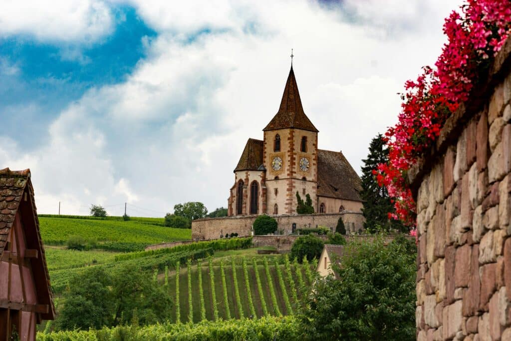 Vin minéral issu d'un terroir calcaire : expression de la fraîcheur, de la tension et de la minéralité à la dégustation