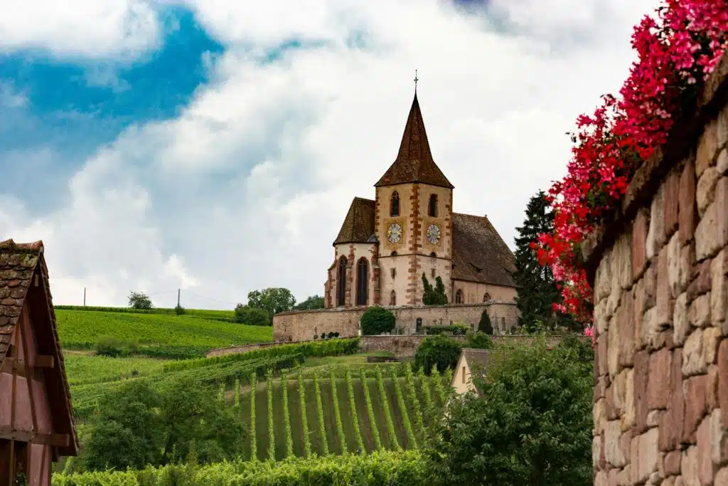 Vin minéral issu d'un terroir calcaire : expression de la fraîcheur, de la tension et de la minéralité à la dégustation