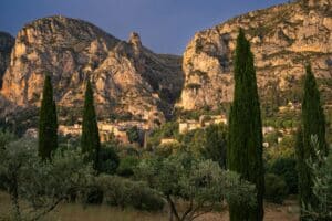 Cépages méconnus français adaptés au changement climatique