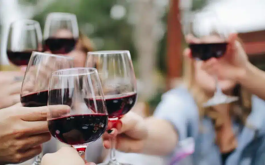 Illustration sur les tanins et la dégustation d’un vin rouge