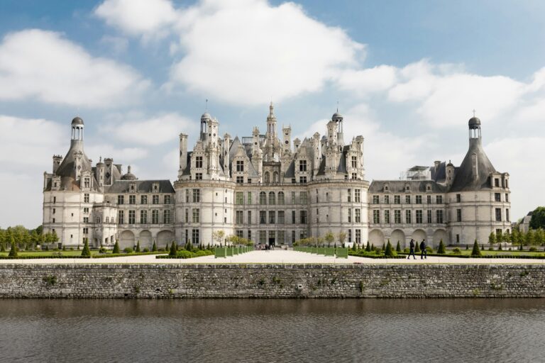 Quels vins de Loire choisir pour une dégustation entre connaisseurs ?