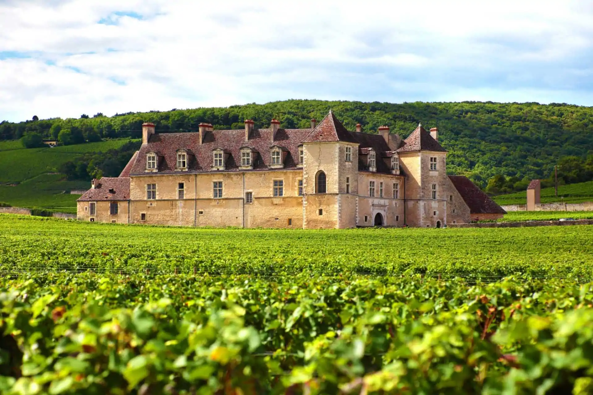 vins rares en allocation cuvées confidentielles de prestige